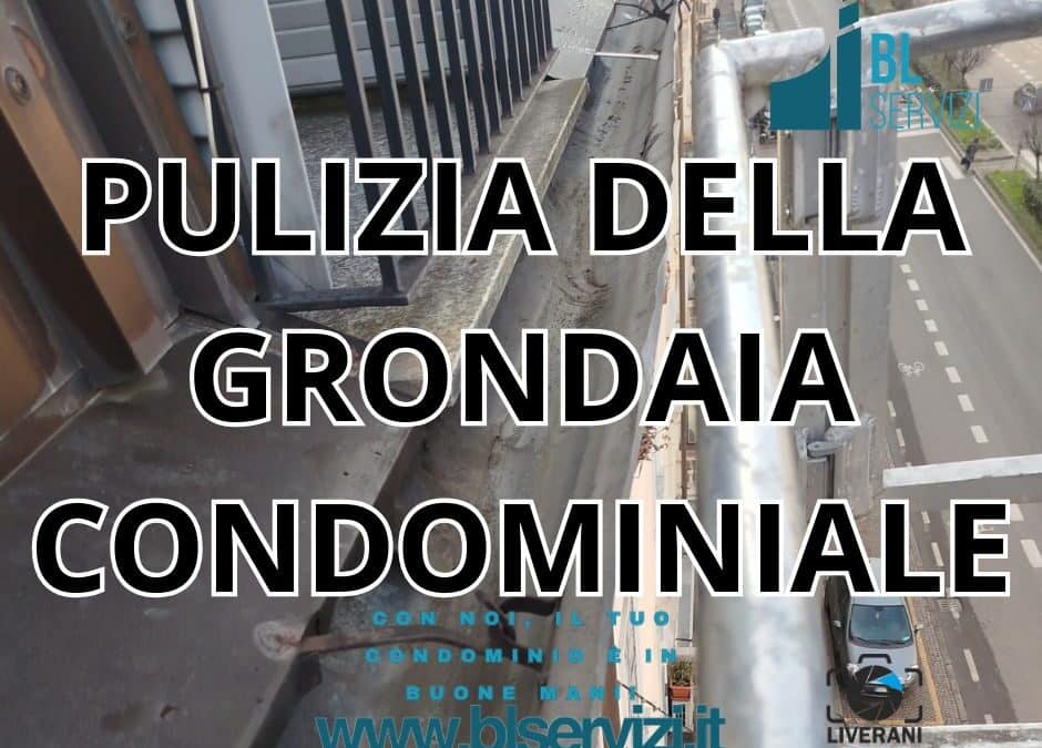 PULIZIA DELLA GRONDAIA CONDOMINIALE